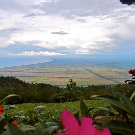 The Jerai Hill Resort Yan Eksteriør billede